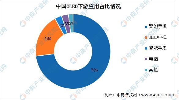 2023年中国OLED行业市场前景及投资研究报告(简版)(图10)
