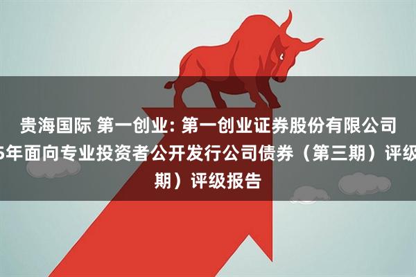 贵海国际 第一创业: 第一创业证券股份有限公司2025年面向专业投资者公开发行公司债券（第三期）评级报告