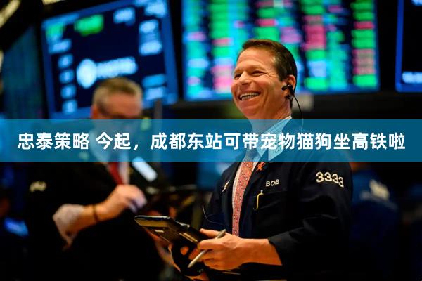 忠泰策略 今起，成都东站可带宠物猫狗坐高铁啦